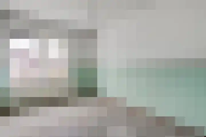Wiederhorsten 9 Wijhe thumbnail 18