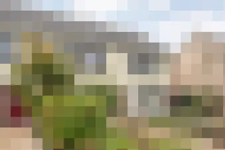 Wiederhorsten 9 Wijhe foto 2