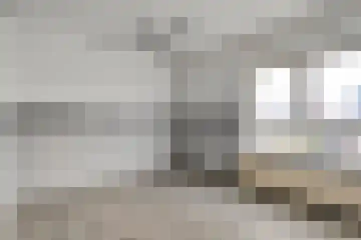 Wiederhorsten 9 Wijhe thumbnail 20