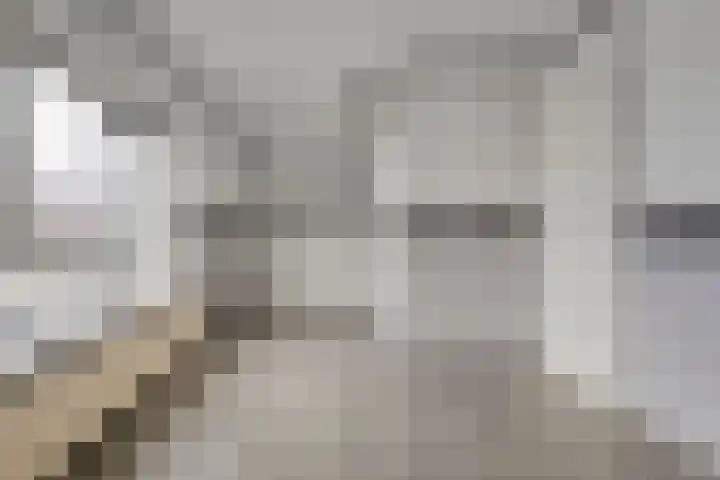Wiederhorsten 9 Wijhe thumbnail 21