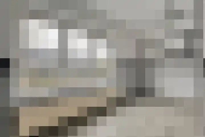 Wiederhorsten 9 Wijhe thumbnail 22