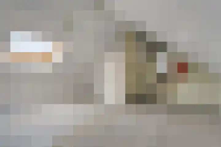 Wiederhorsten 9 Wijhe thumbnail 25