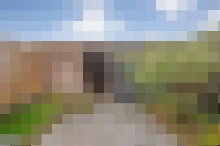 Wiederhorsten 9 Wijhe thumbnail 28