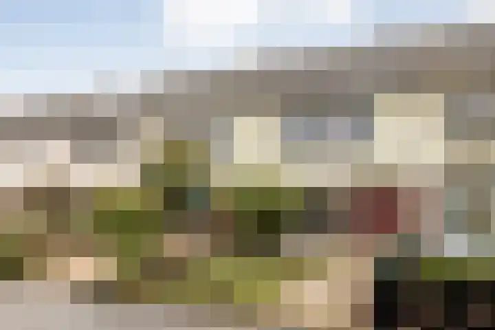 Wiederhorsten 9 Wijhe foto 3