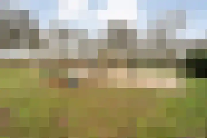 Wiederhorsten 9 Wijhe thumbnail 32