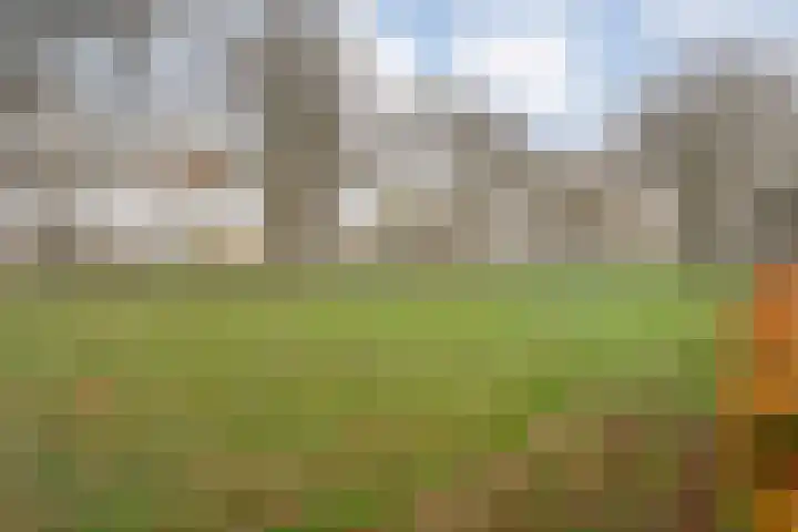 Wiederhorsten 9 Wijhe thumbnail 33