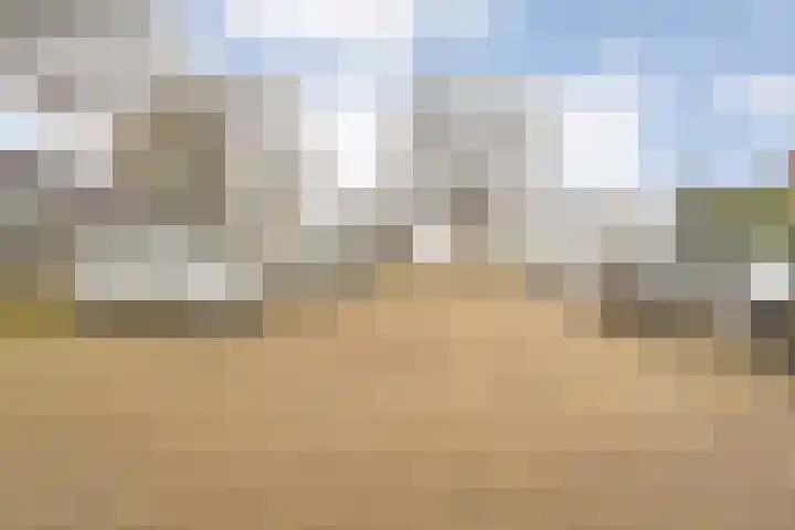 Wiederhorsten 9 Wijhe thumbnail 34