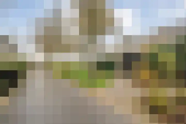 Wiederhorsten 9 Wijhe thumbnail 4