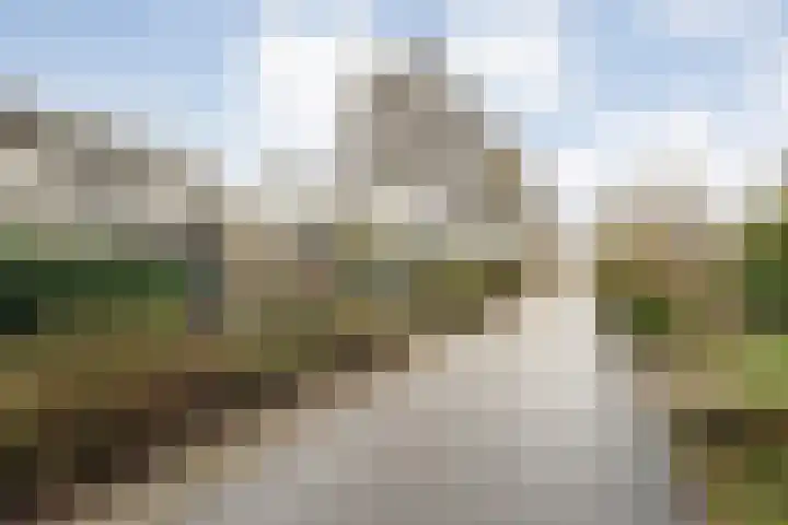 Wiederhorsten 9 Wijhe thumbnail 5