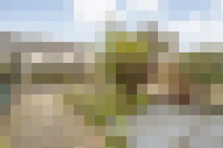 Wiederhorsten 9 Wijhe thumbnail 6