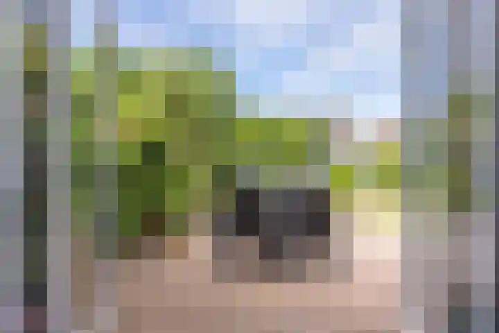 Wieënbroek 12 Buchten thumbnail 18
