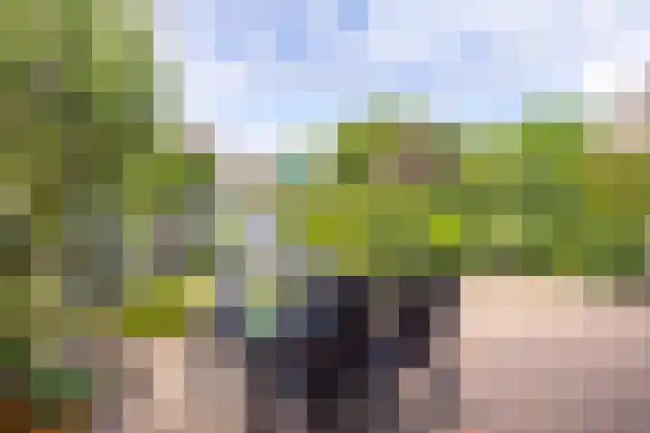 Wieënbroek 12 Buchten thumbnail 19