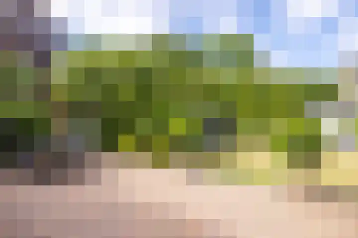 Wieënbroek 12 Buchten thumbnail 20