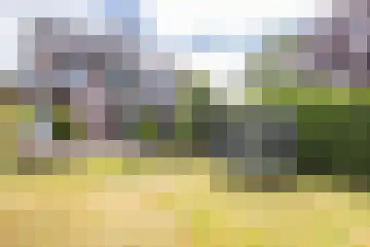 Wieënbroek 12 Buchten thumbnail 21