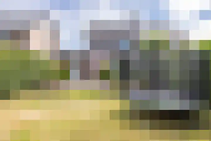 Wieënbroek 12 Buchten thumbnail 22