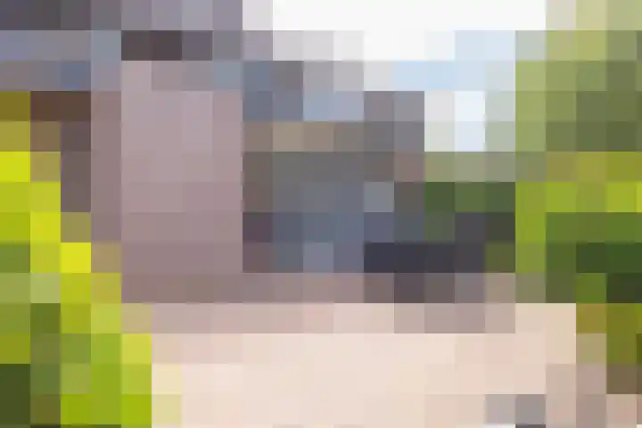 Wieënbroek 12 Buchten thumbnail 23