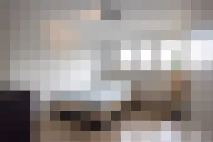 Wieënbroek 12 Buchten thumbnail 26
