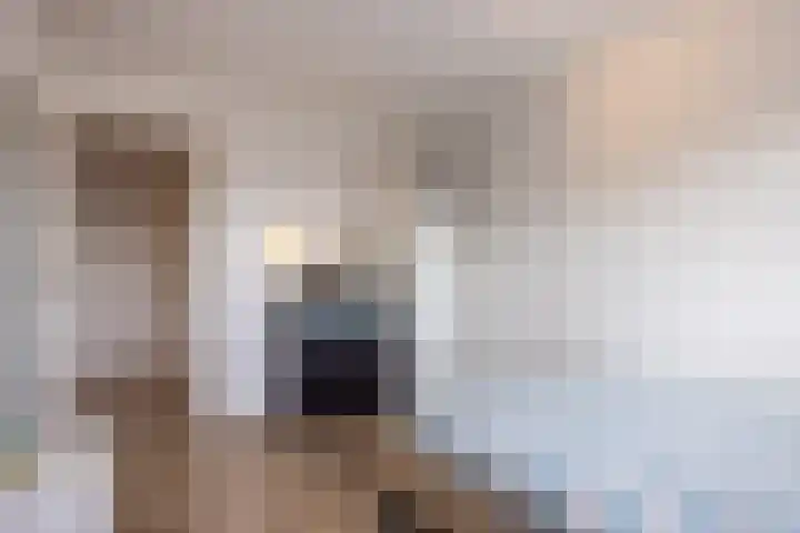 Wieënbroek 12 Buchten thumbnail 27