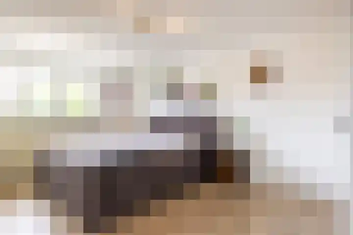 Wieënbroek 12 Buchten thumbnail 28