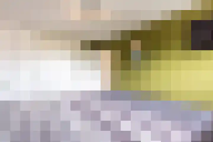 Wieënbroek 12 Buchten thumbnail 29
