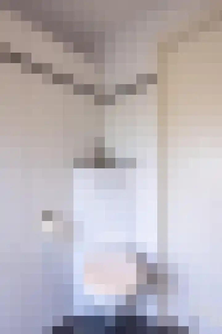 Wieënbroek 12 Buchten thumbnail 33