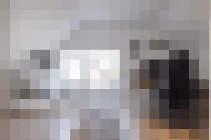 Wieënbroek 12 Buchten thumbnail 35