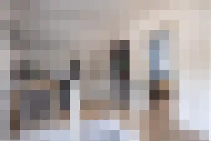 Wieënbroek 12 Buchten thumbnail 37