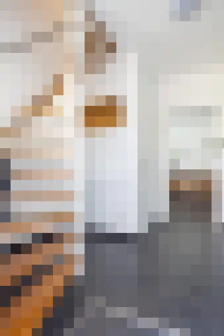 Wieënbroek 12 Buchten thumbnail 5