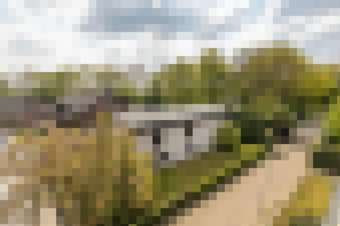 Wieënbroek 18 Buchten thumbnail 11