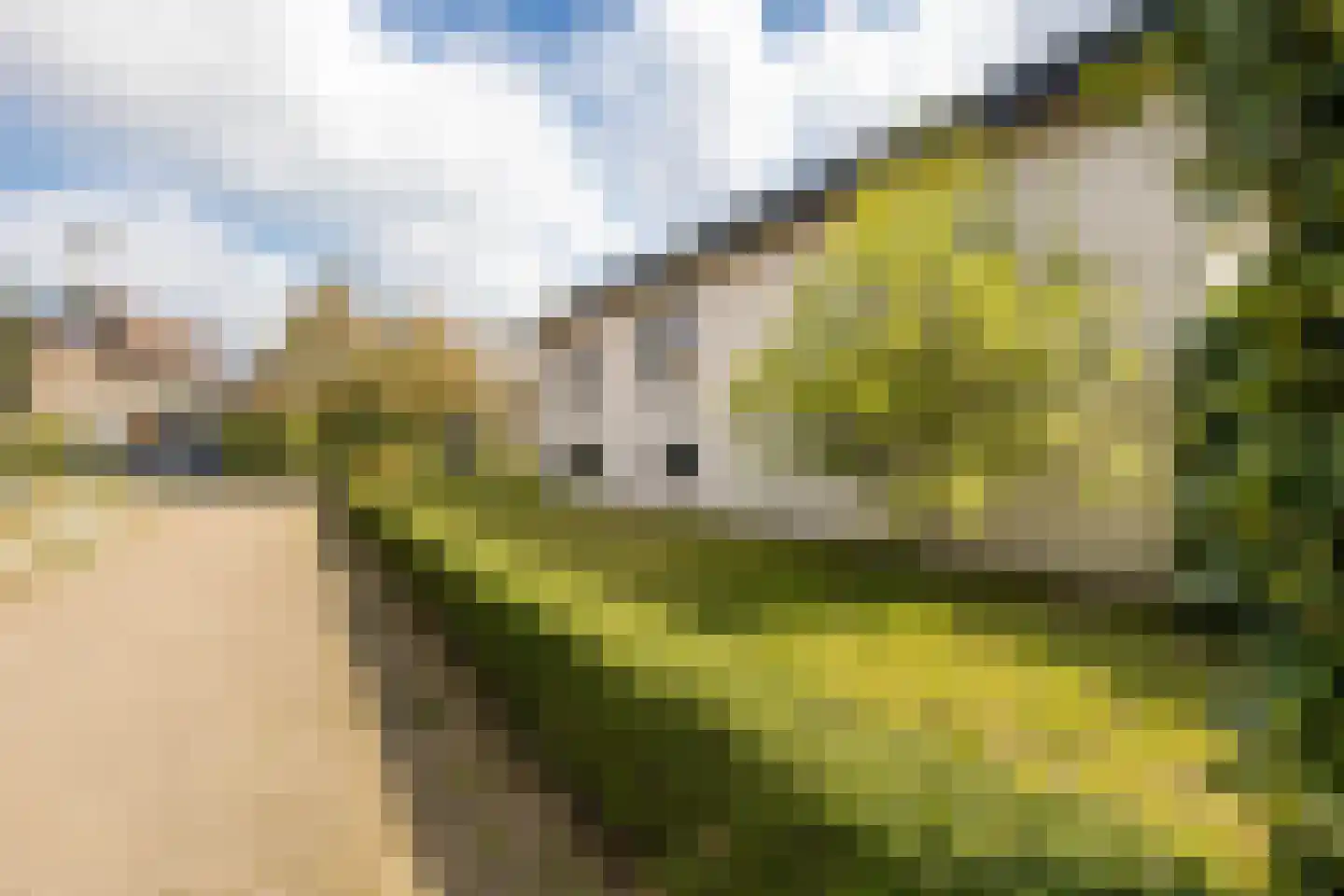 Wieënbroek 18 Buchten thumbnail 12