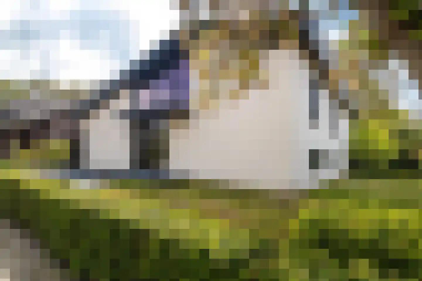 Wieënbroek 18 Buchten thumbnail 14