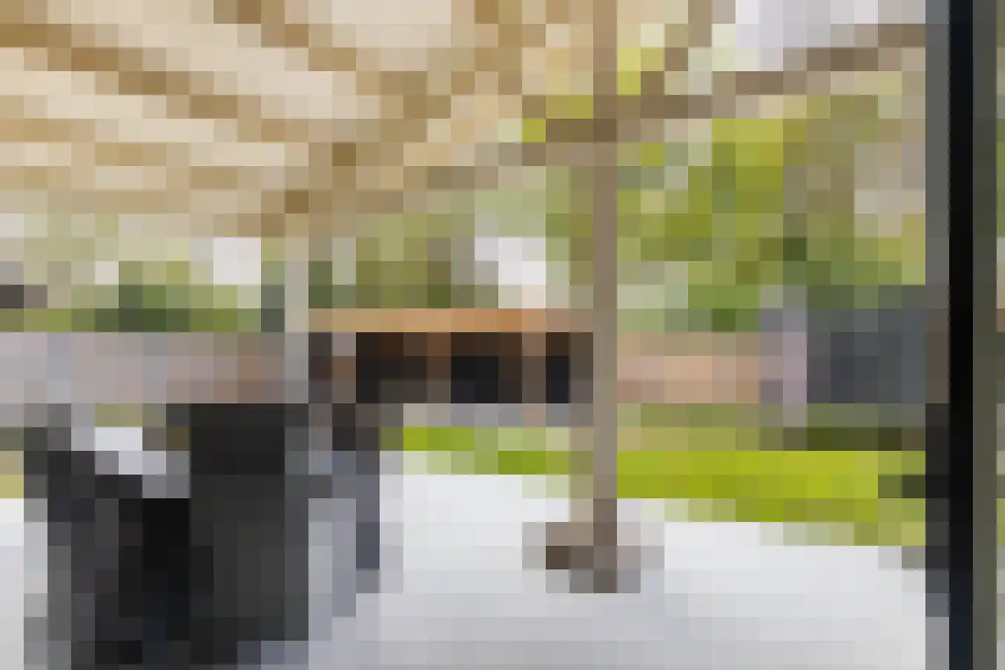 Wieënbroek 18 Buchten thumbnail 4