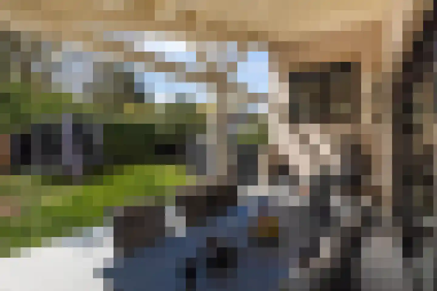 Wieënbroek 18 Buchten thumbnail 67