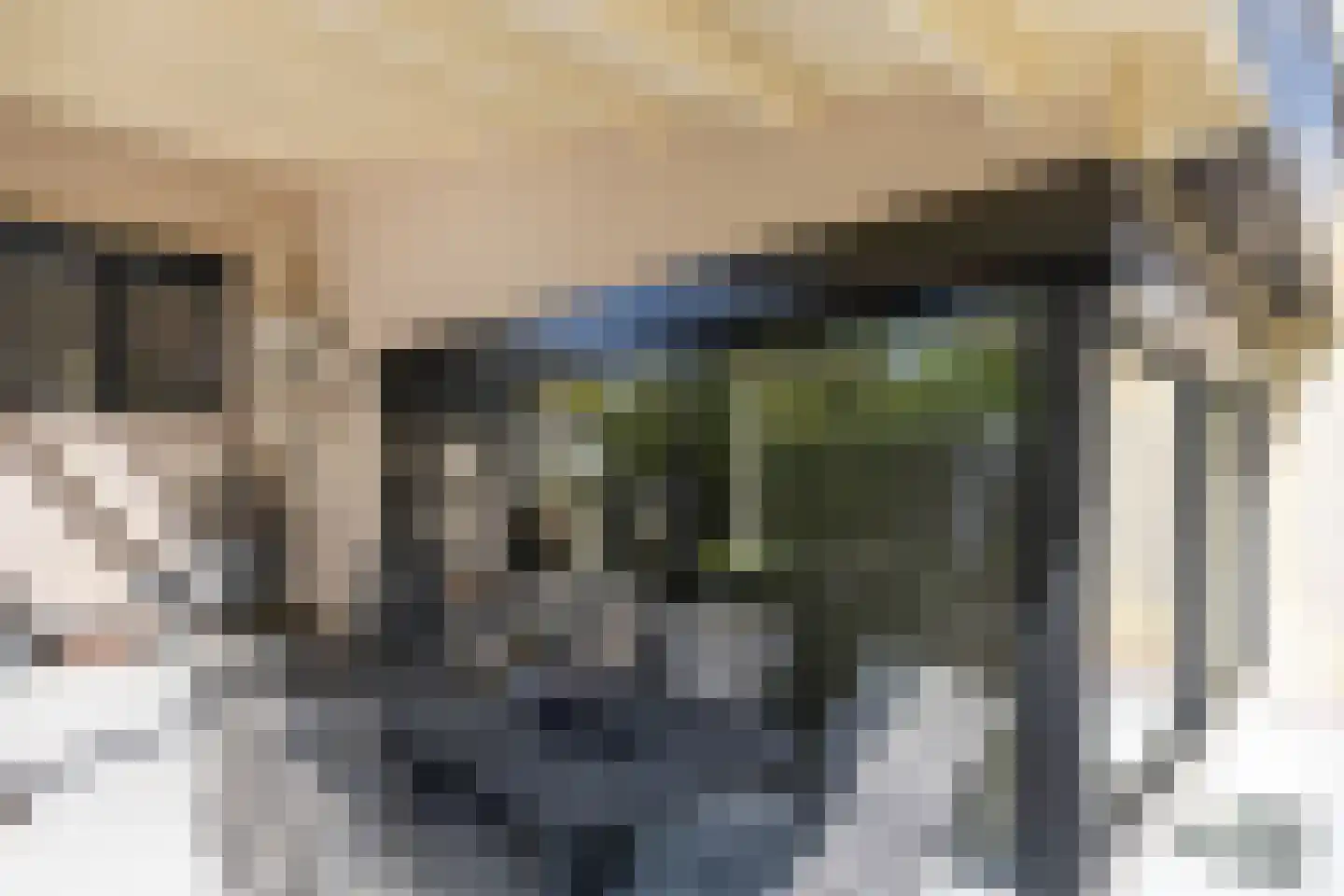 Wieënbroek 18 Buchten thumbnail 68