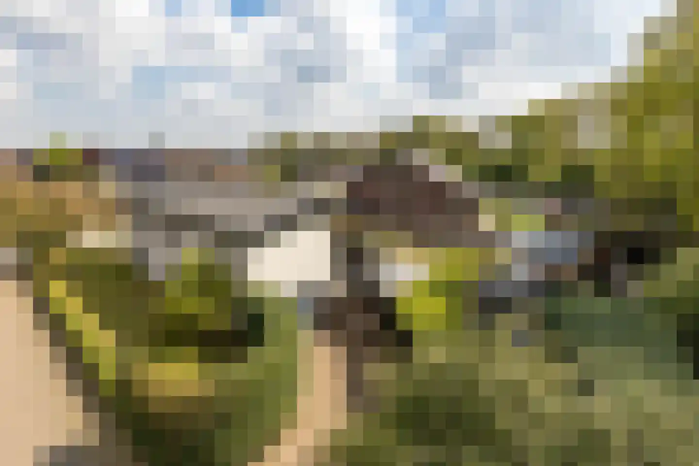 Wieënbroek 18 Buchten thumbnail 78