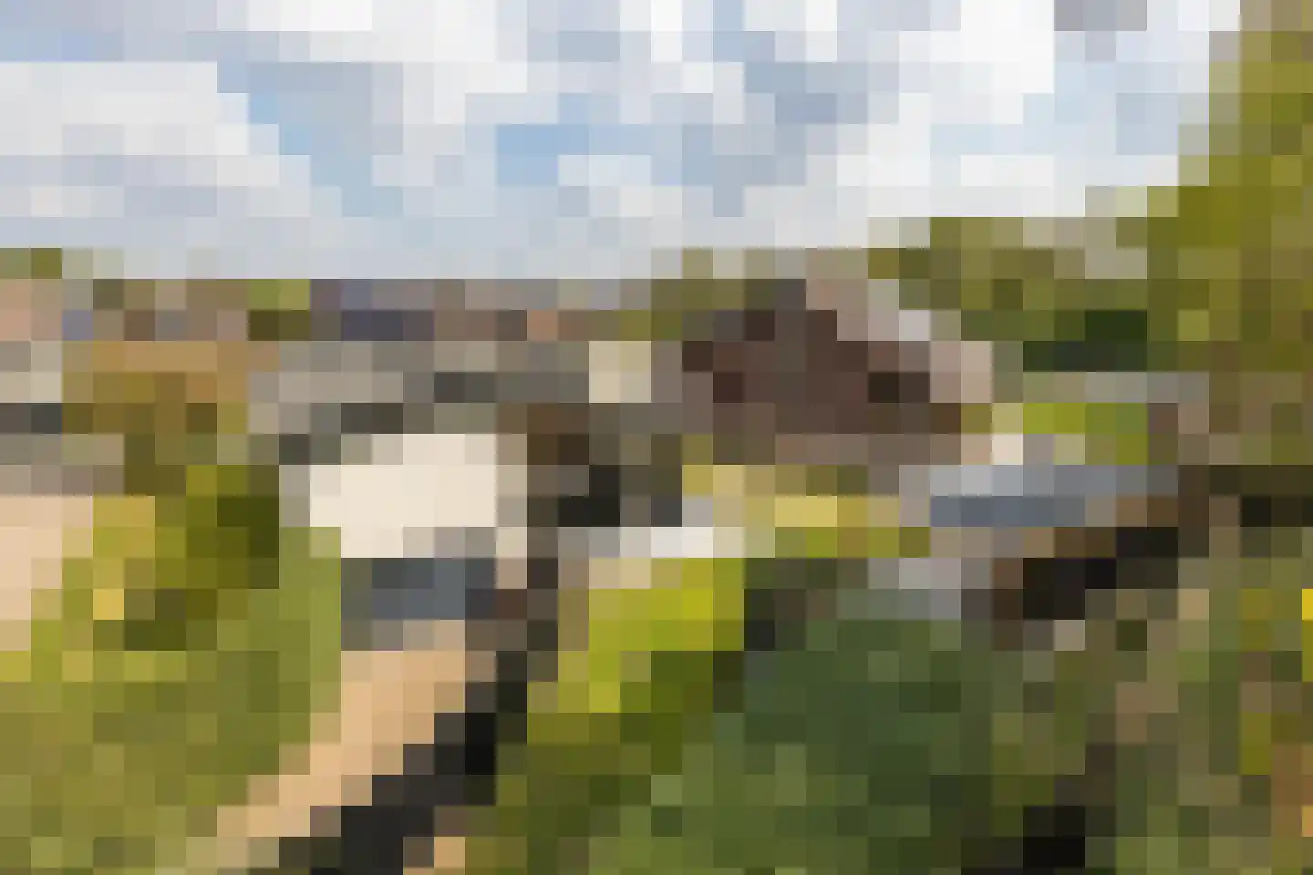Wieënbroek 18 Buchten thumbnail 79