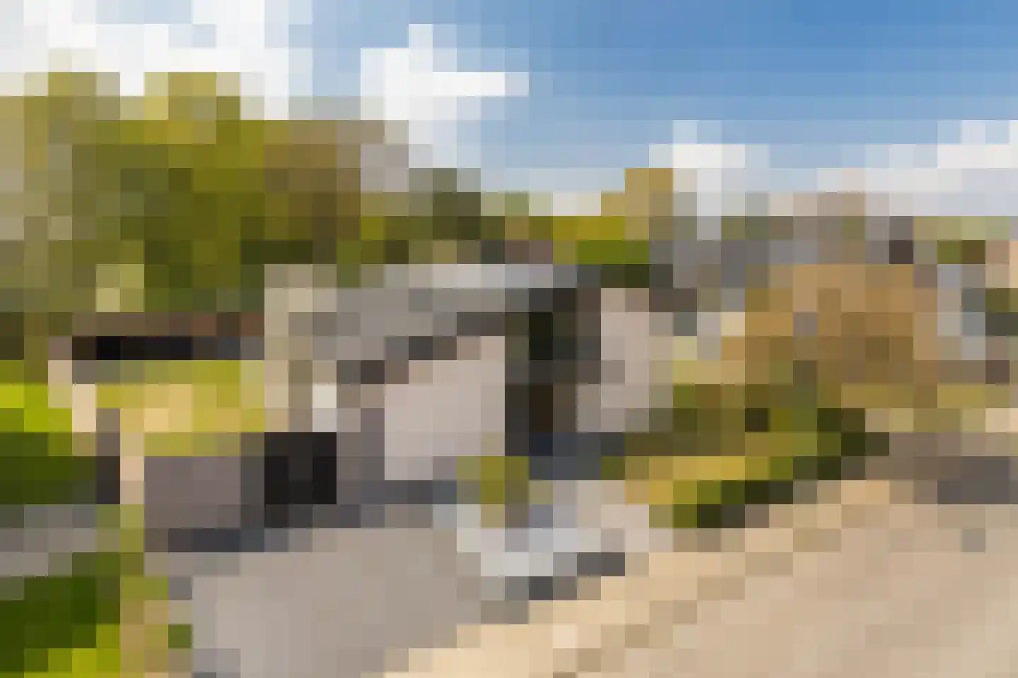 Wieënbroek 18 Buchten thumbnail 8