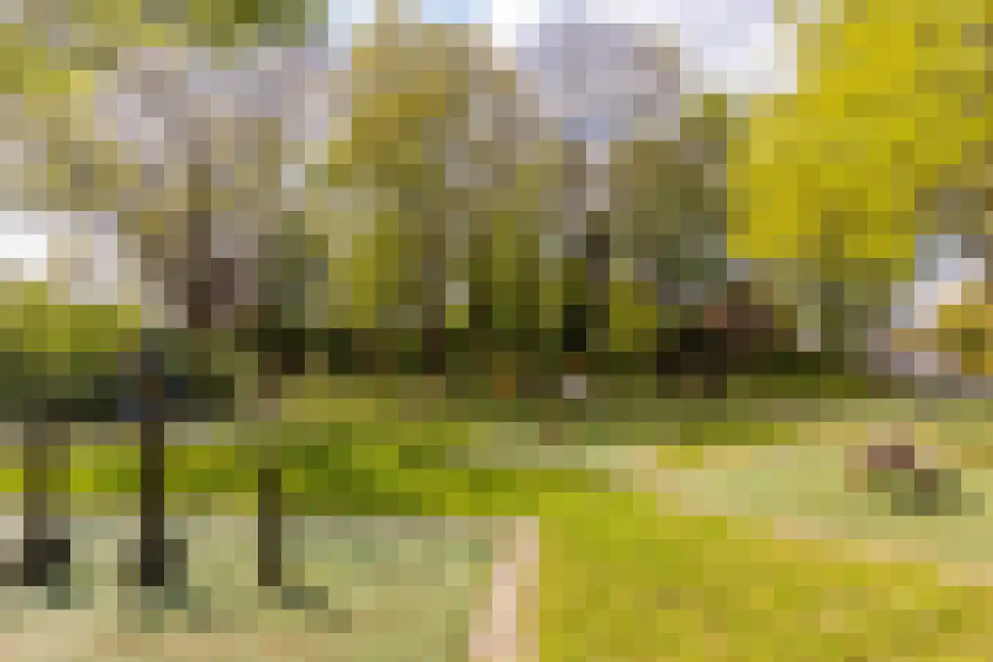 Wieënbroek 18 Buchten thumbnail 80