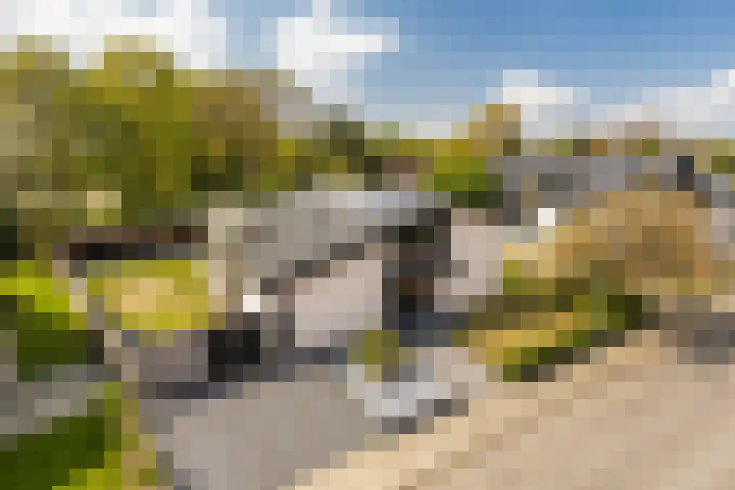 Wieënbroek 18 Buchten thumbnail 9