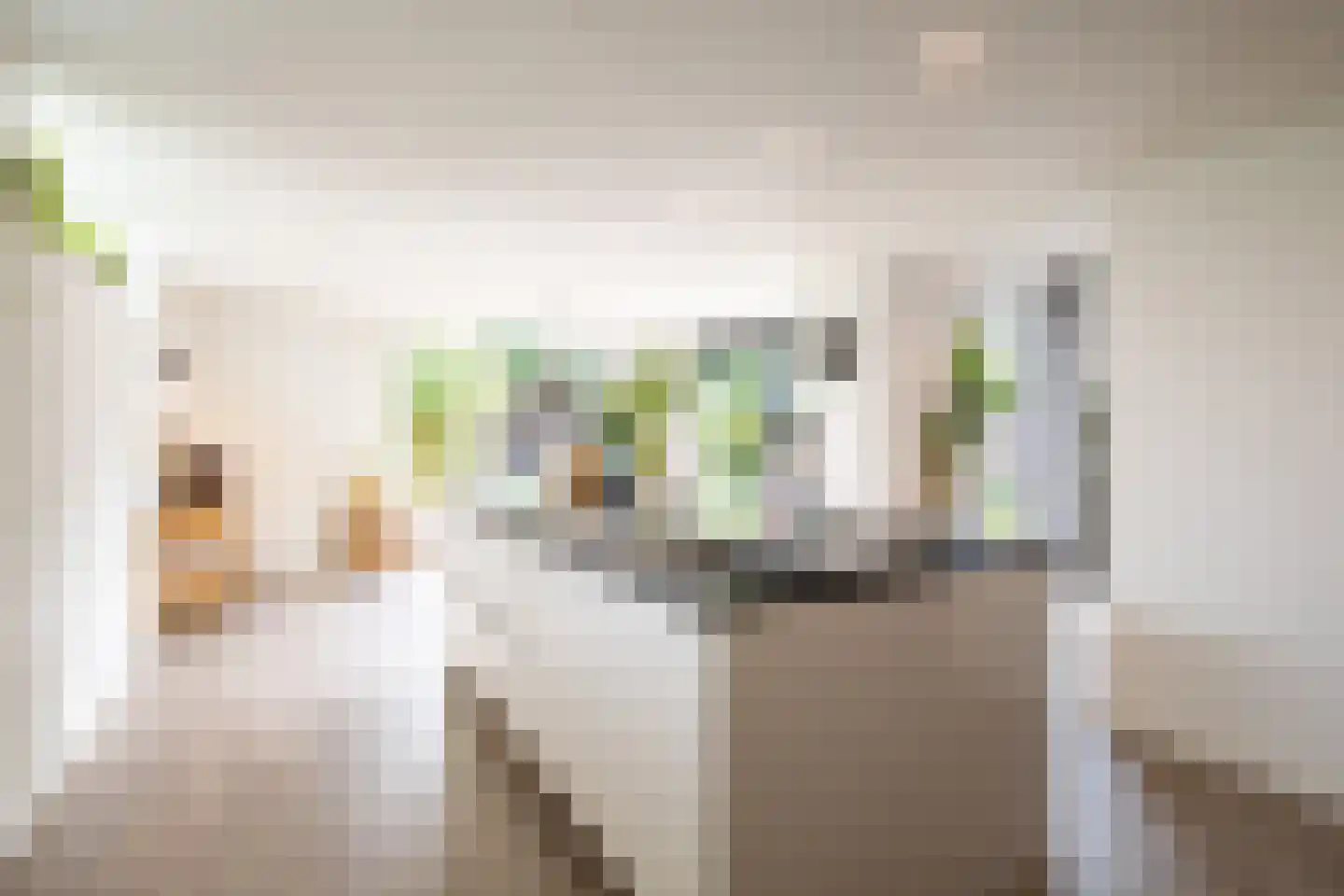 Wieënbroek 3 Buchten thumbnail 11
