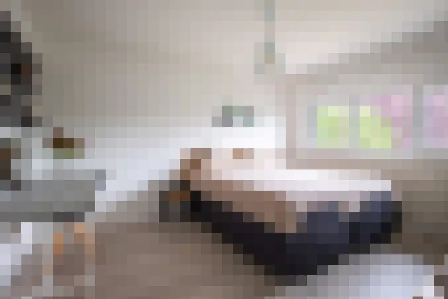 Wieënbroek 3 Buchten thumbnail 15