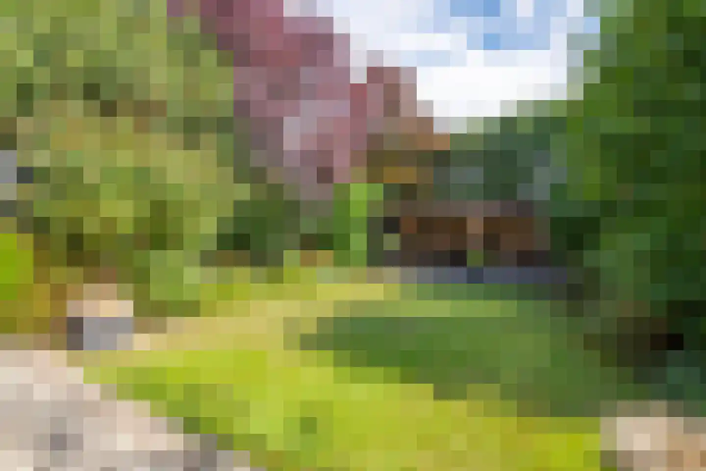 Wieënbroek 3 Buchten thumbnail 22