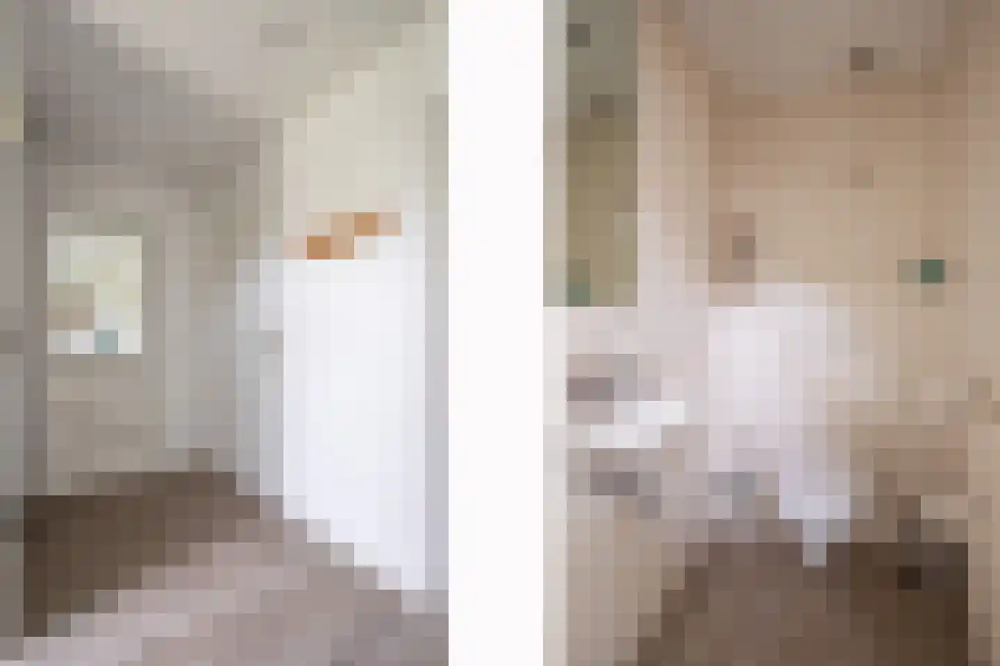Wieënbroek 3 Buchten thumbnail 4