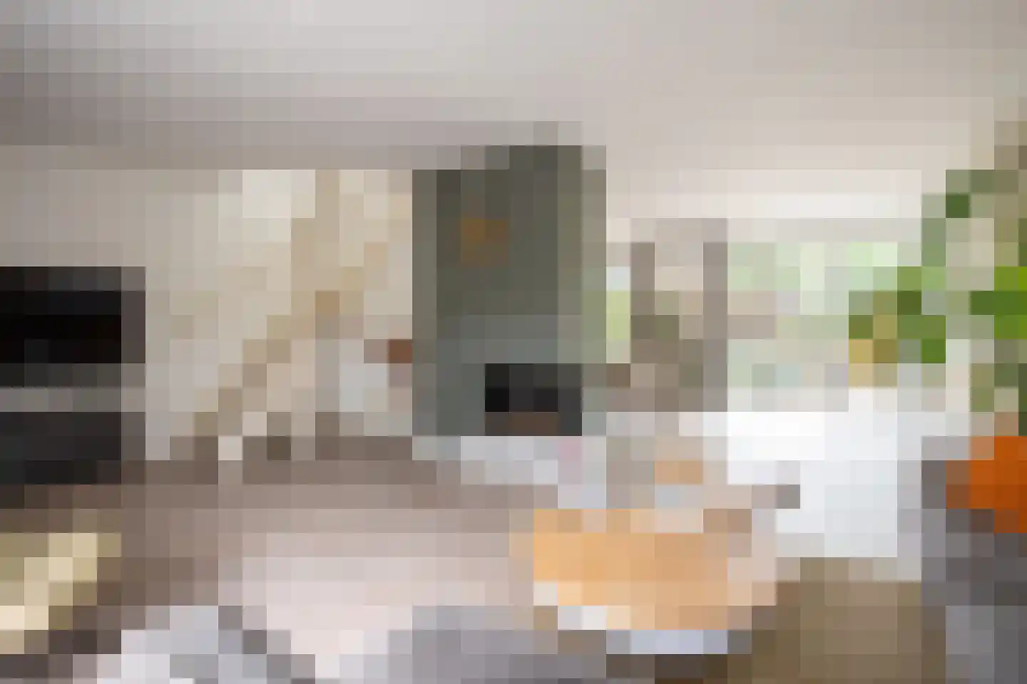Wieënbroek 3 Buchten thumbnail 7