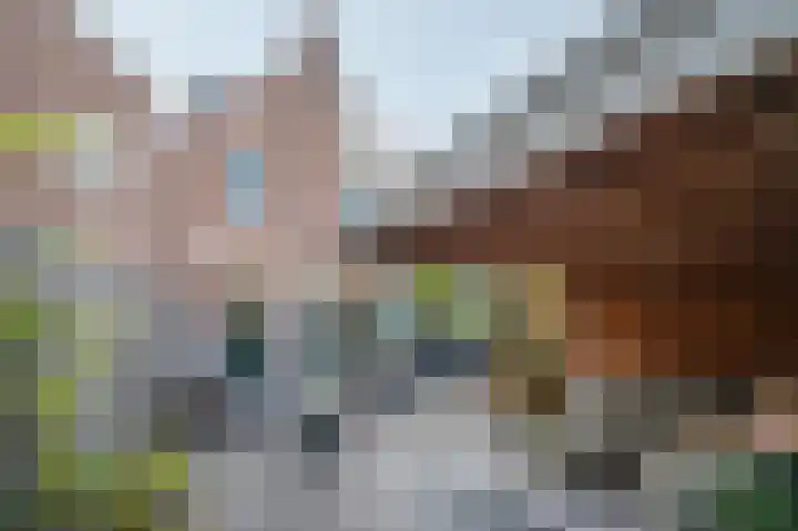 Wieënstraat 26 Venlo thumbnail 42