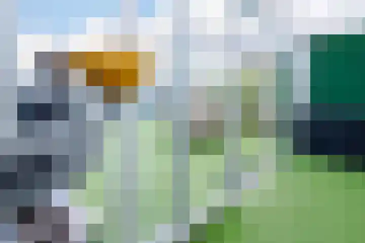 Wieënweg 26 Brunssum thumbnail 31