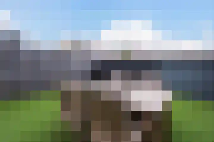 Wieënweg 26 Brunssum thumbnail 32