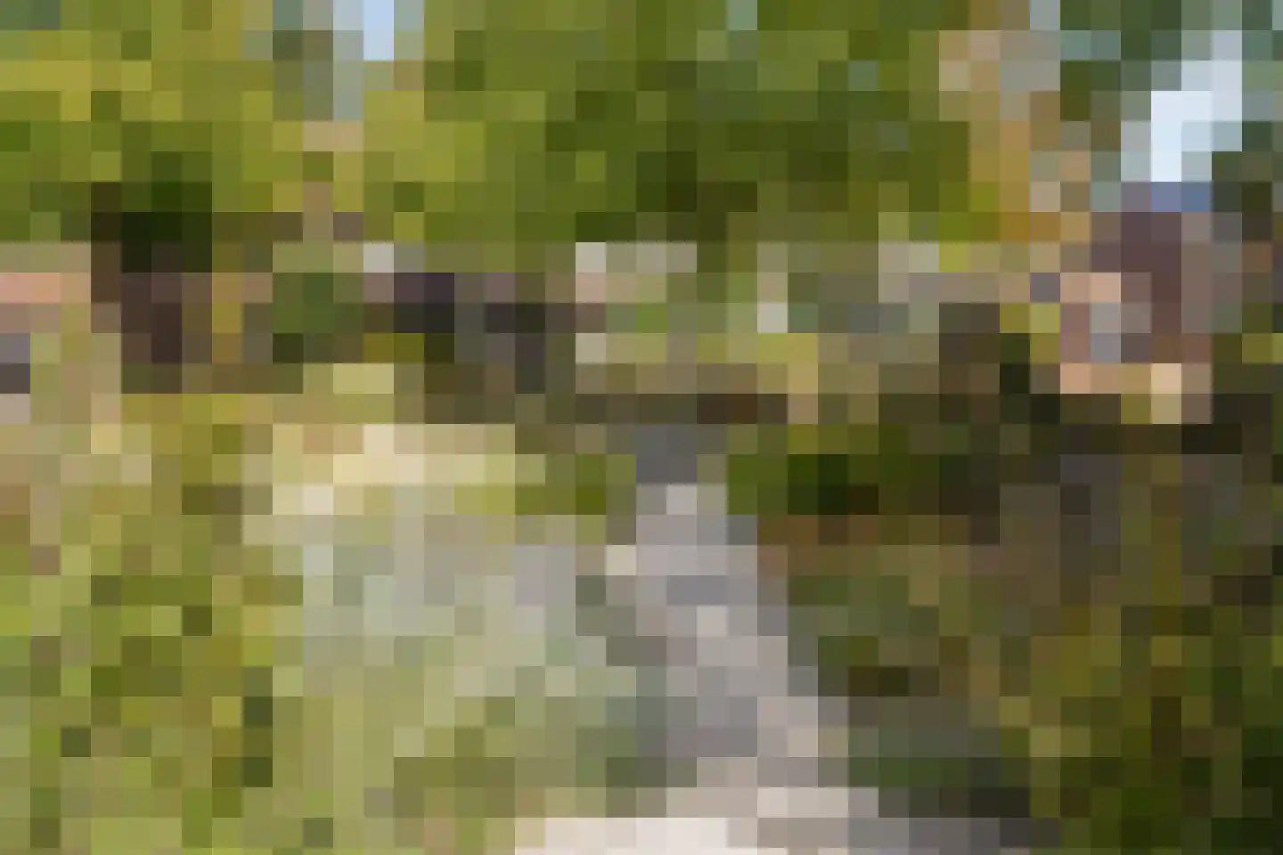 Wieënweg 34 A Brunssum thumbnail 32