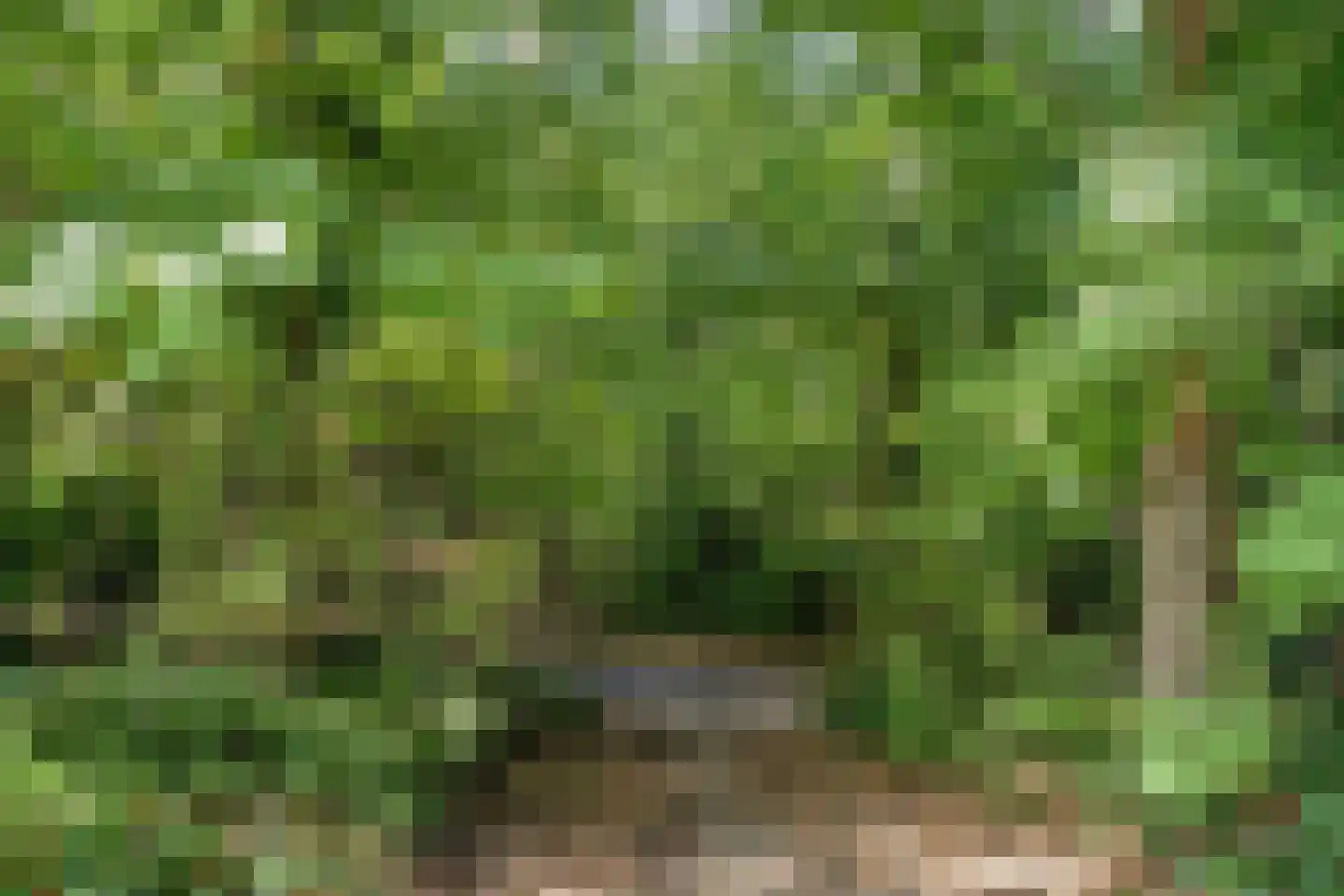 Wieënweg 34 A Brunssum thumbnail 33