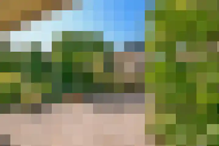 Wieger Bruinlaan 58 Hoofddorp thumbnail 11